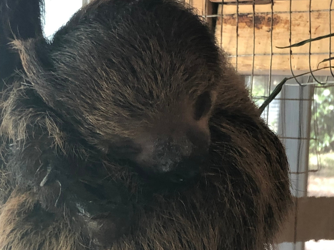 Kentucky Down Under Adventure Zoo景点图片
