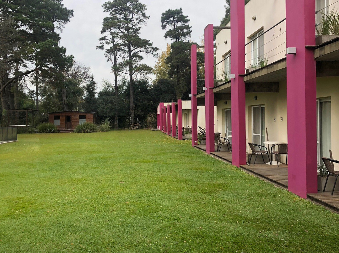 Mi Espacio Sur主图