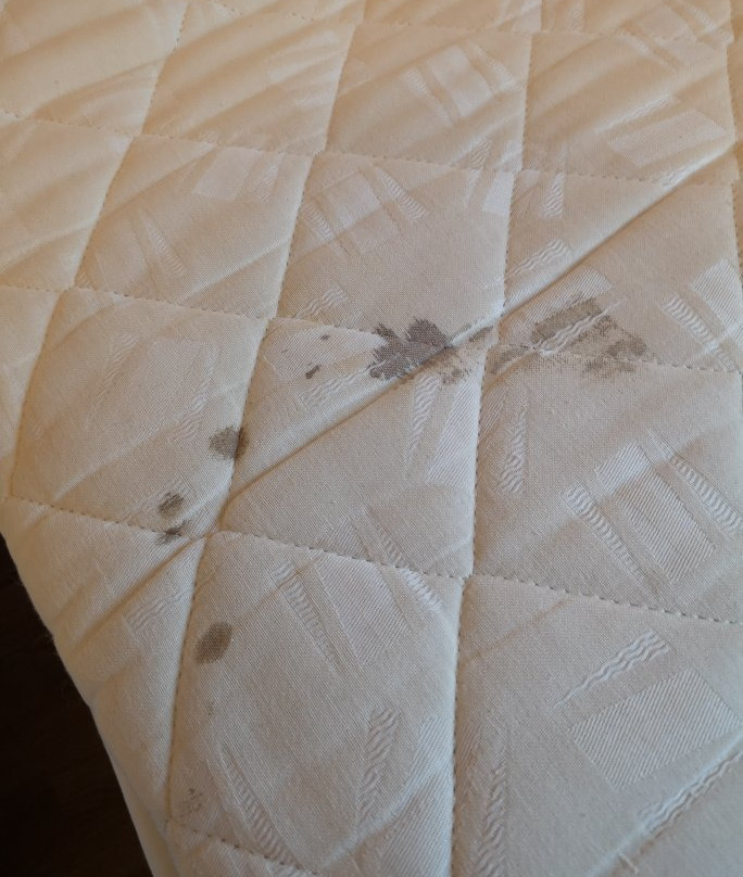 斯塔万格里尔酒店主图