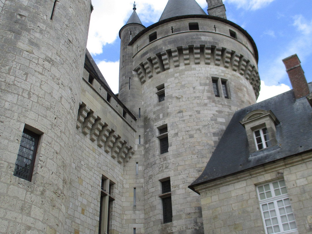 Château de Sully-sur-Loire-Sully-sur-Loire必去景点