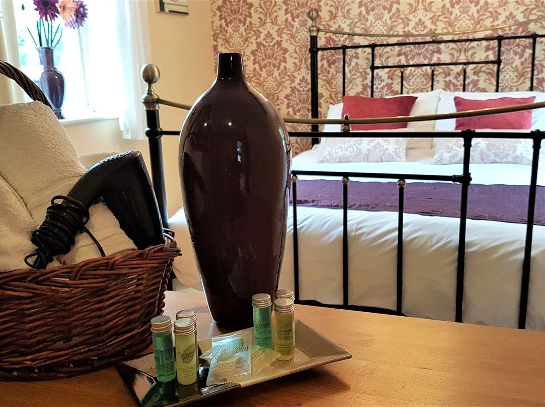 The Pelican Guest House主图