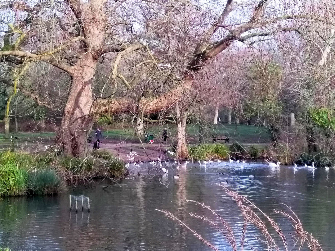 Hampden Park景点图片