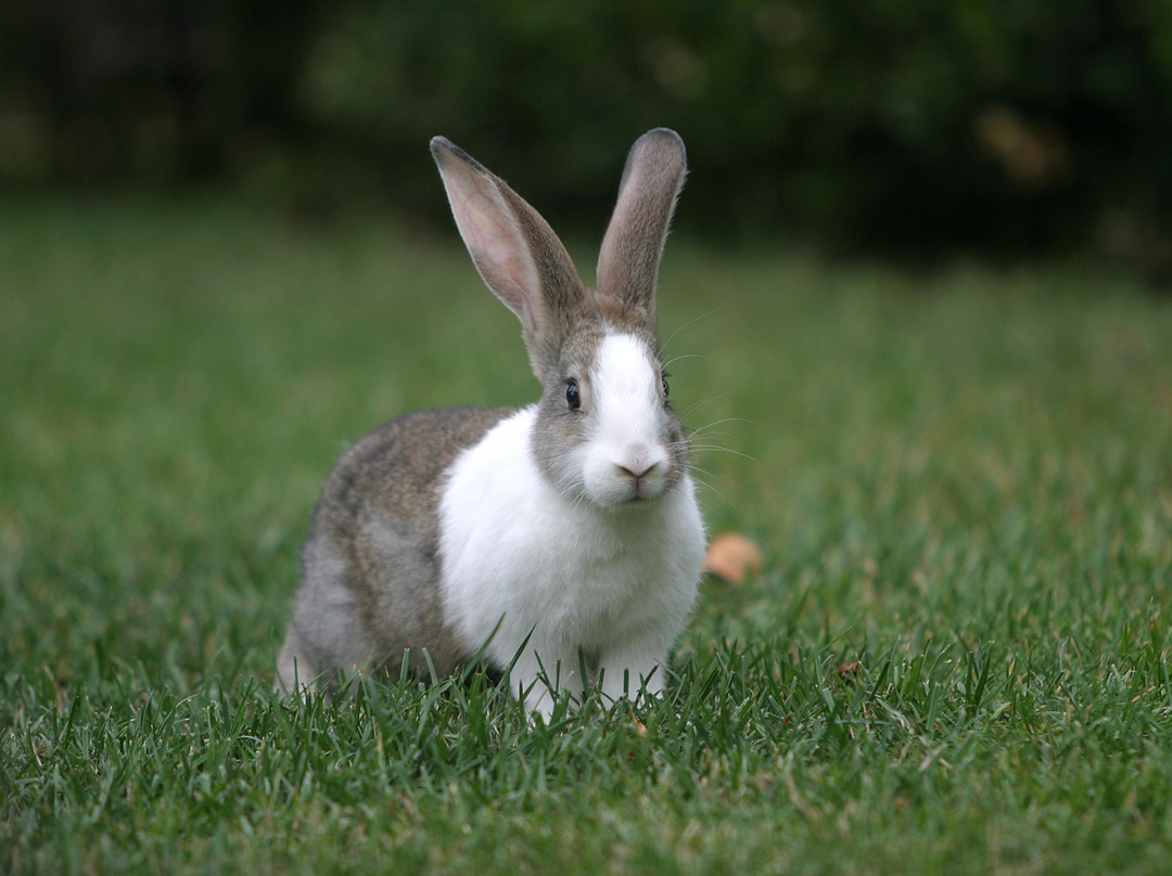 Granja Escuela Xuberoa-Larrayoz必去景点
