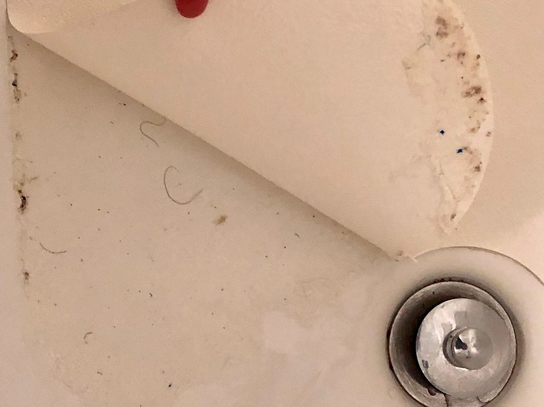 Holiday Inn Portland- I-5 S (wilsonville) By IHG主图