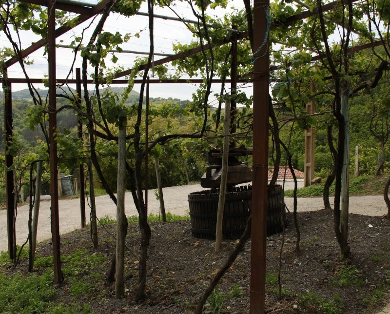 Bodega Txakoli Basa Lore景点图片