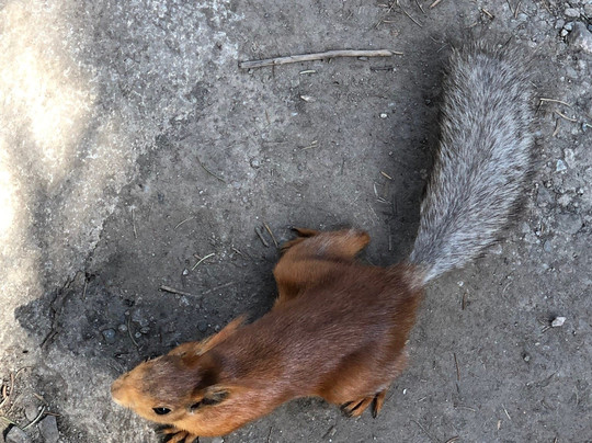 Apple Hostel Tours and Activities-比斯凯克必去景点