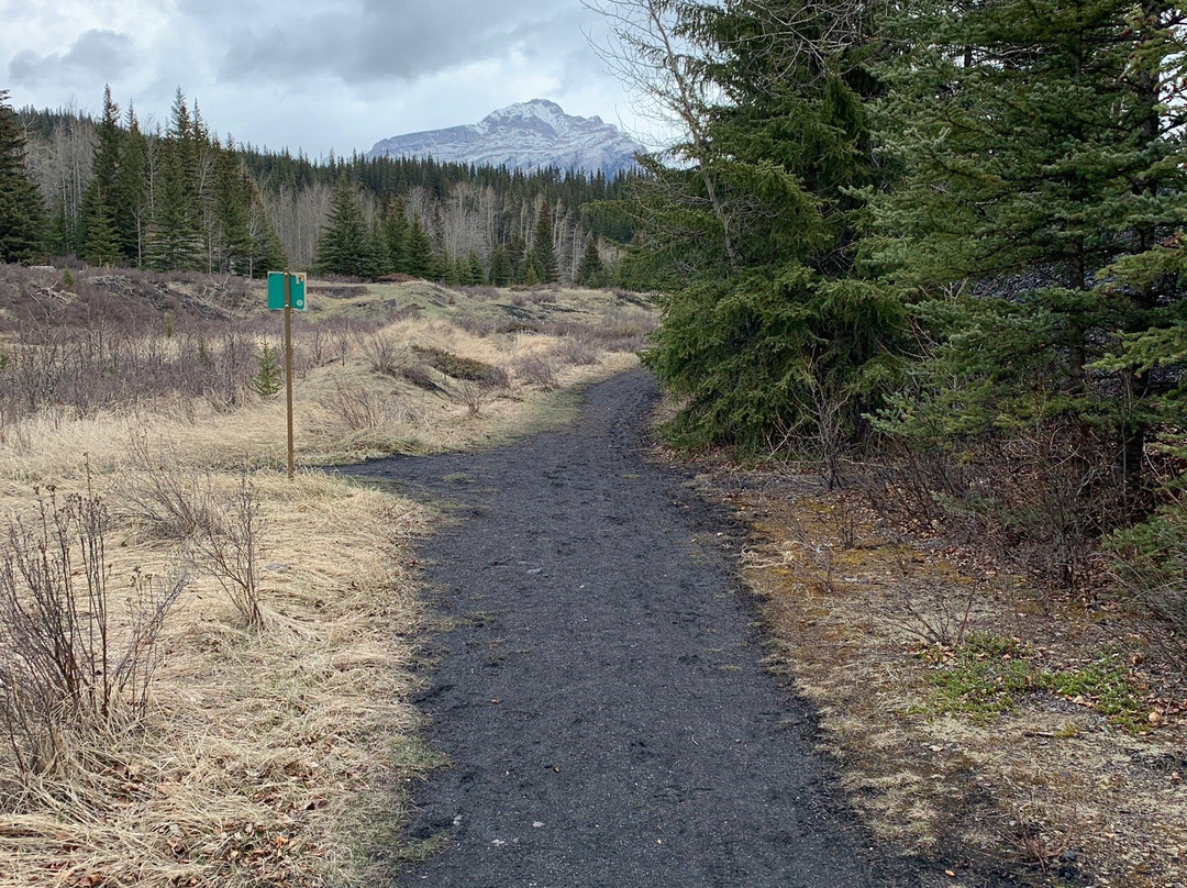 Bankhead Ghost Town-班夫国家公园必去景点