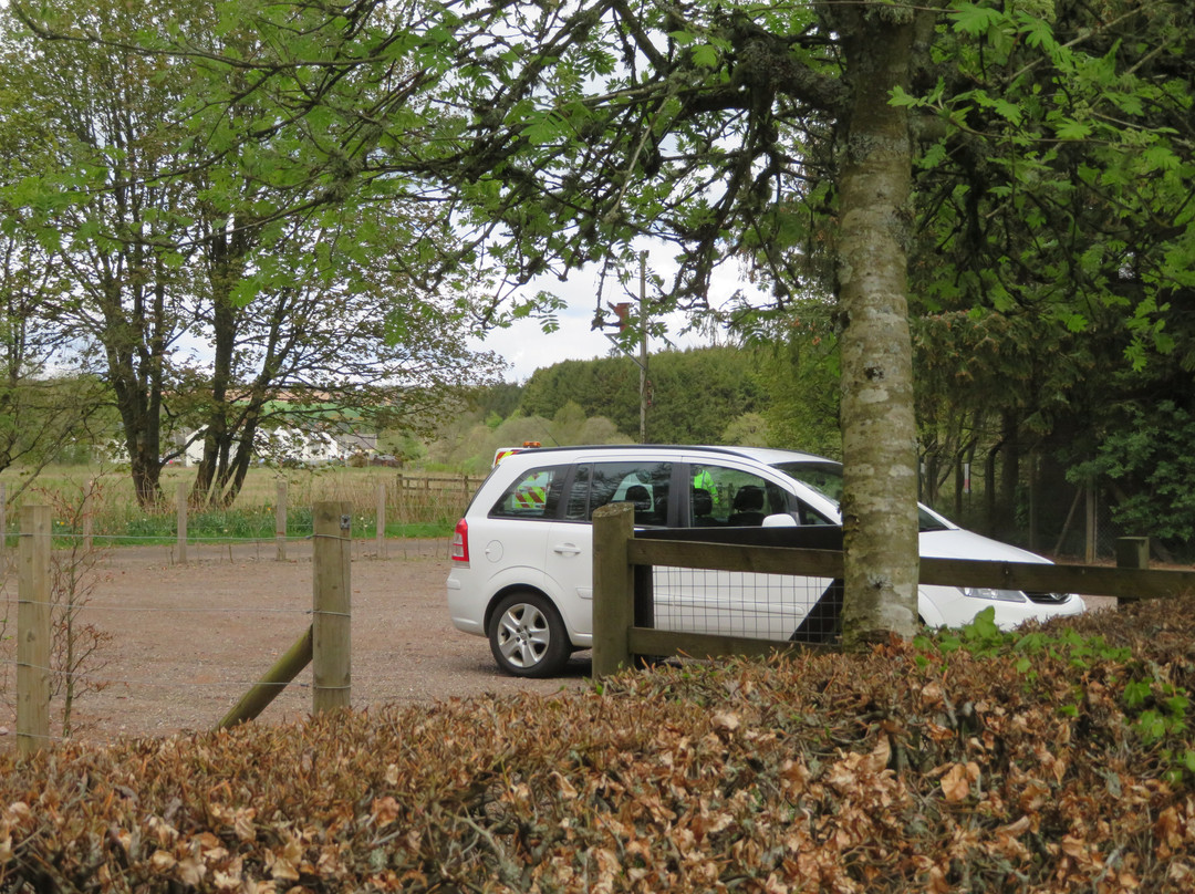 Braco New Cemetery-Braco必去景点