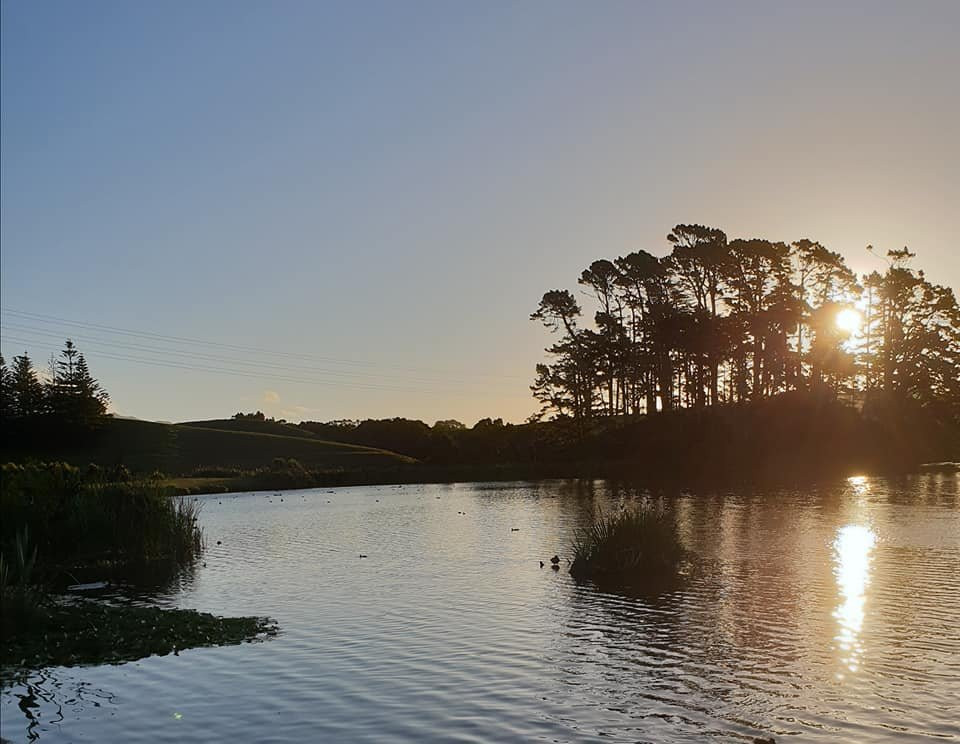 Barrett Domain Walkway-新普利默斯必去景点