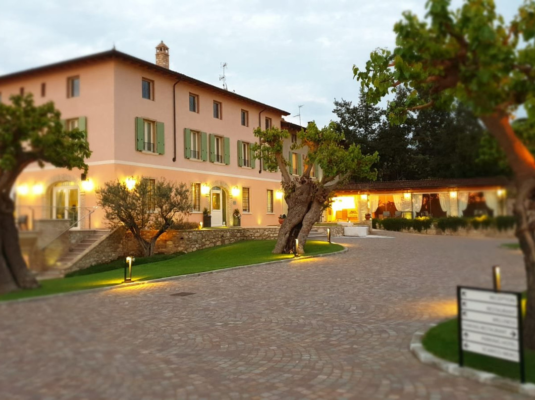 Agriturismo Relais Casina Ricchi主图