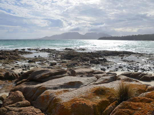 Freycinet Experience Walk-科尔斯湾必去景点