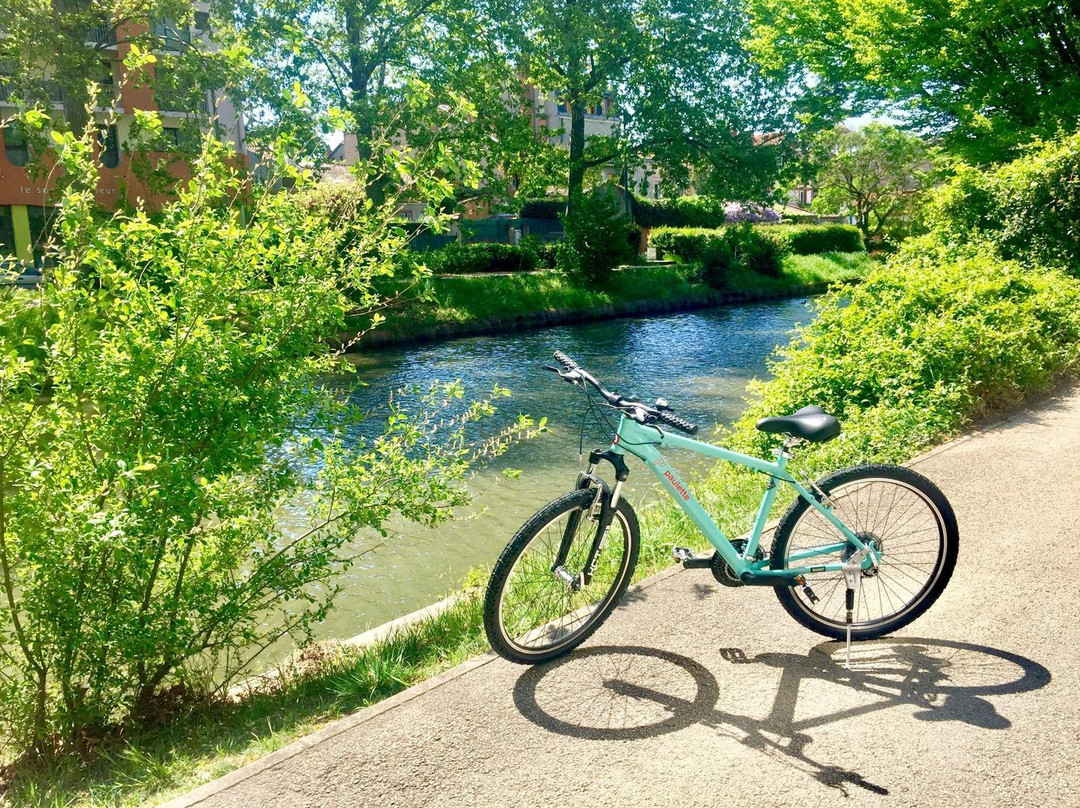 Paulette - Location de vélo-图卢兹必去景点