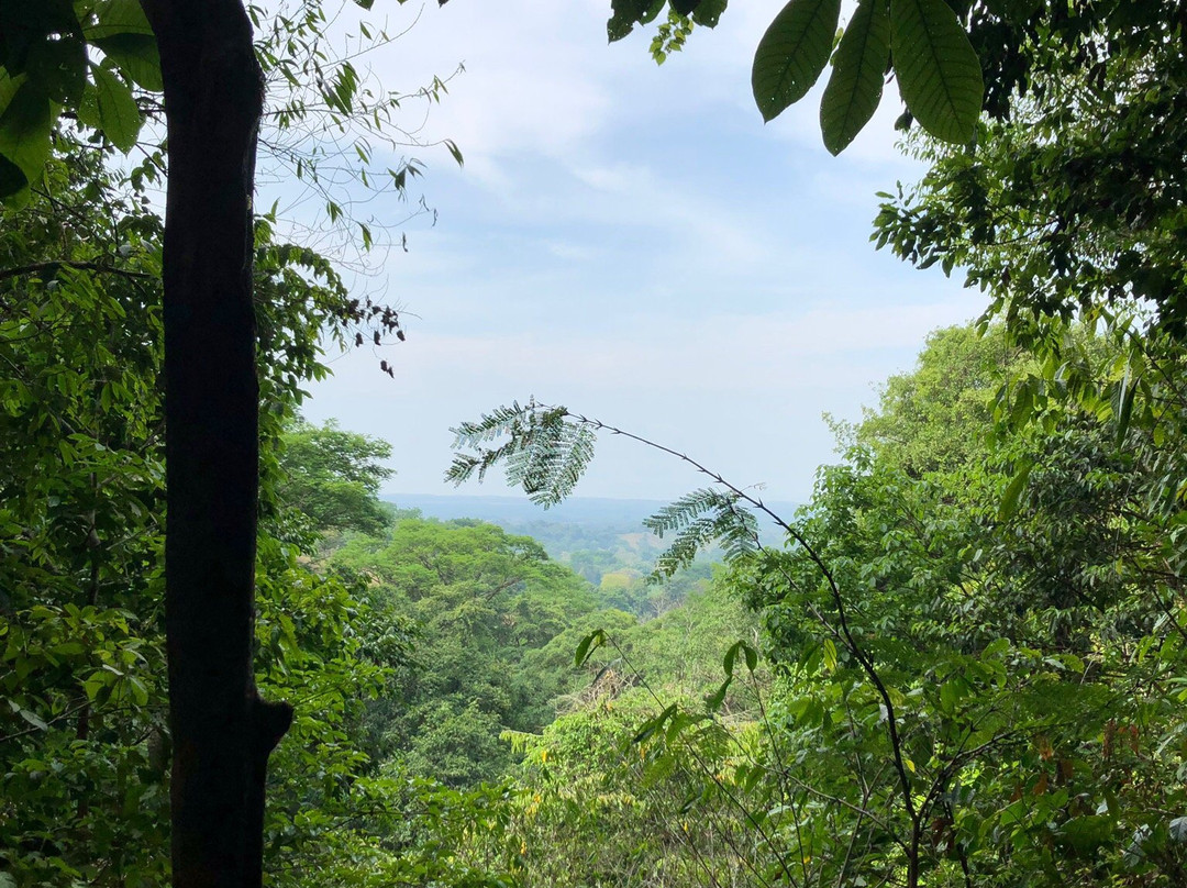 Rainmaker Park Tour景点图片