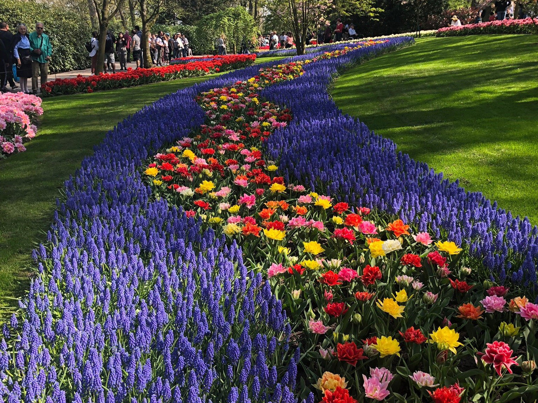 Dutch Flower Tours景点图片