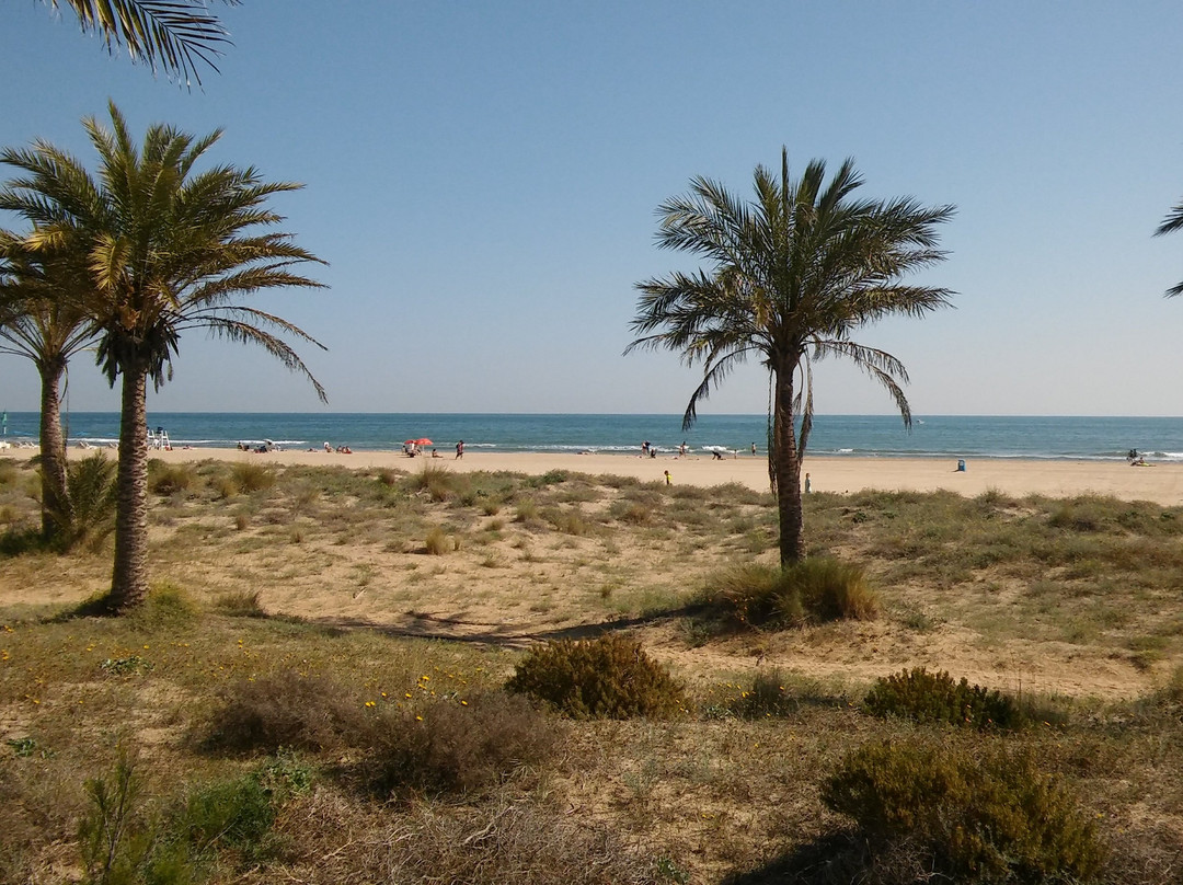 Playa Gandia景点图片