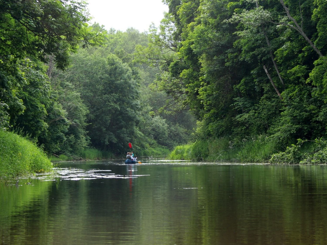 Wilderness Experiences in Soomaa National Park-派尔努必去景点
