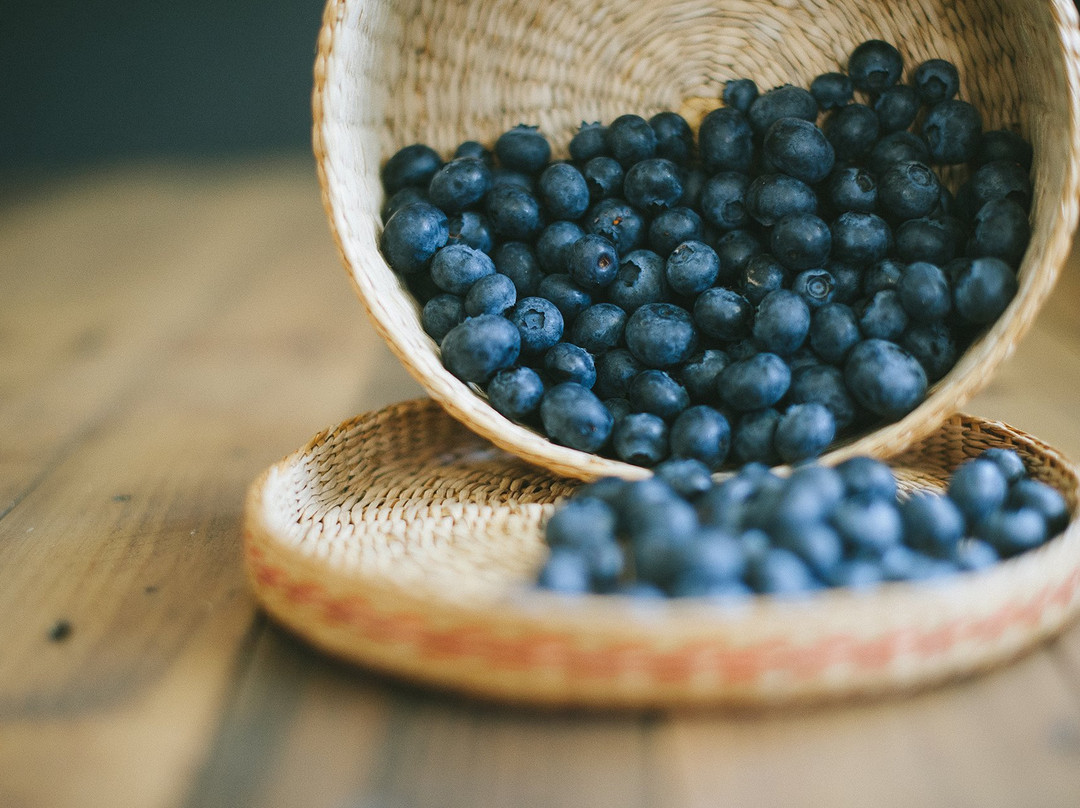 Klaassen Farms-奇利瓦克必去景点