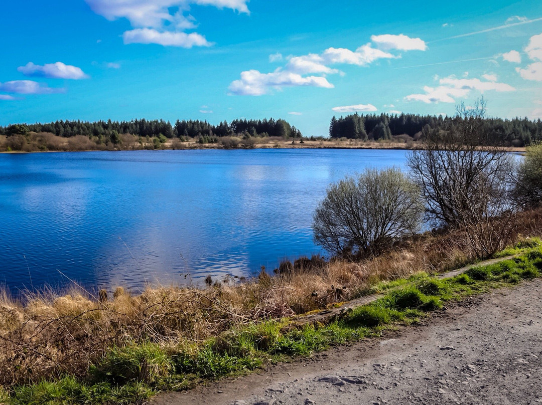 Llyn Llech Owain Country Park景点图片