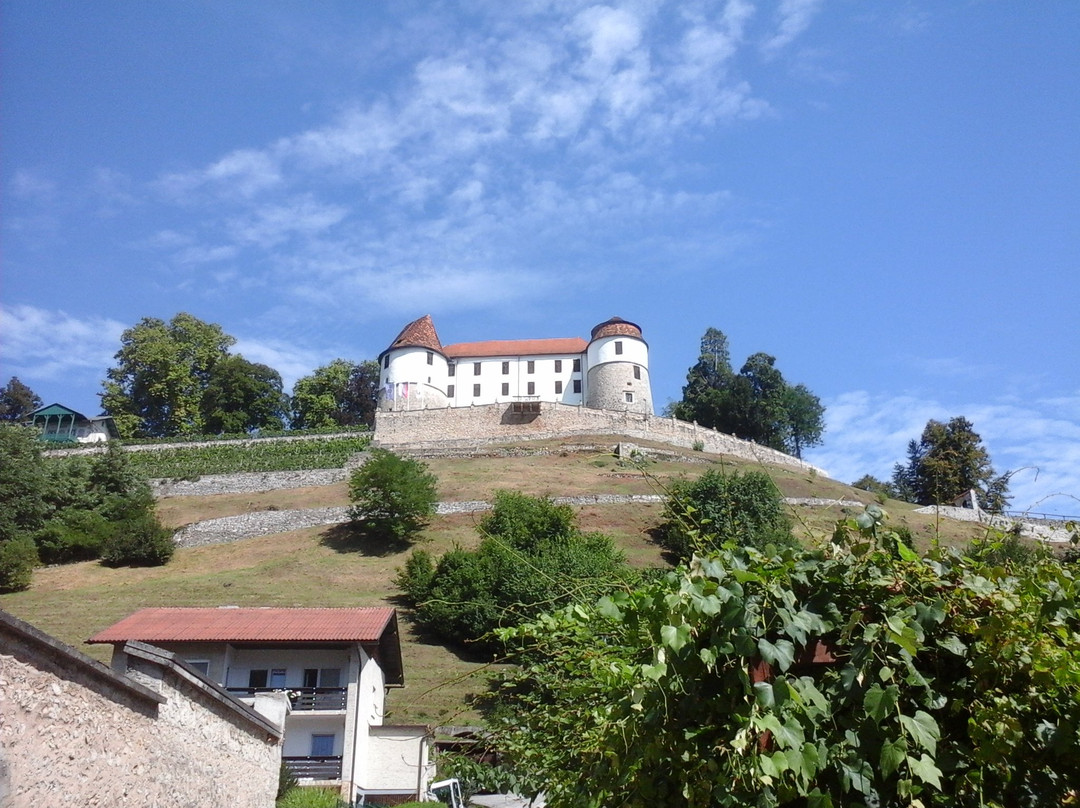Sevnica Castle景点图片