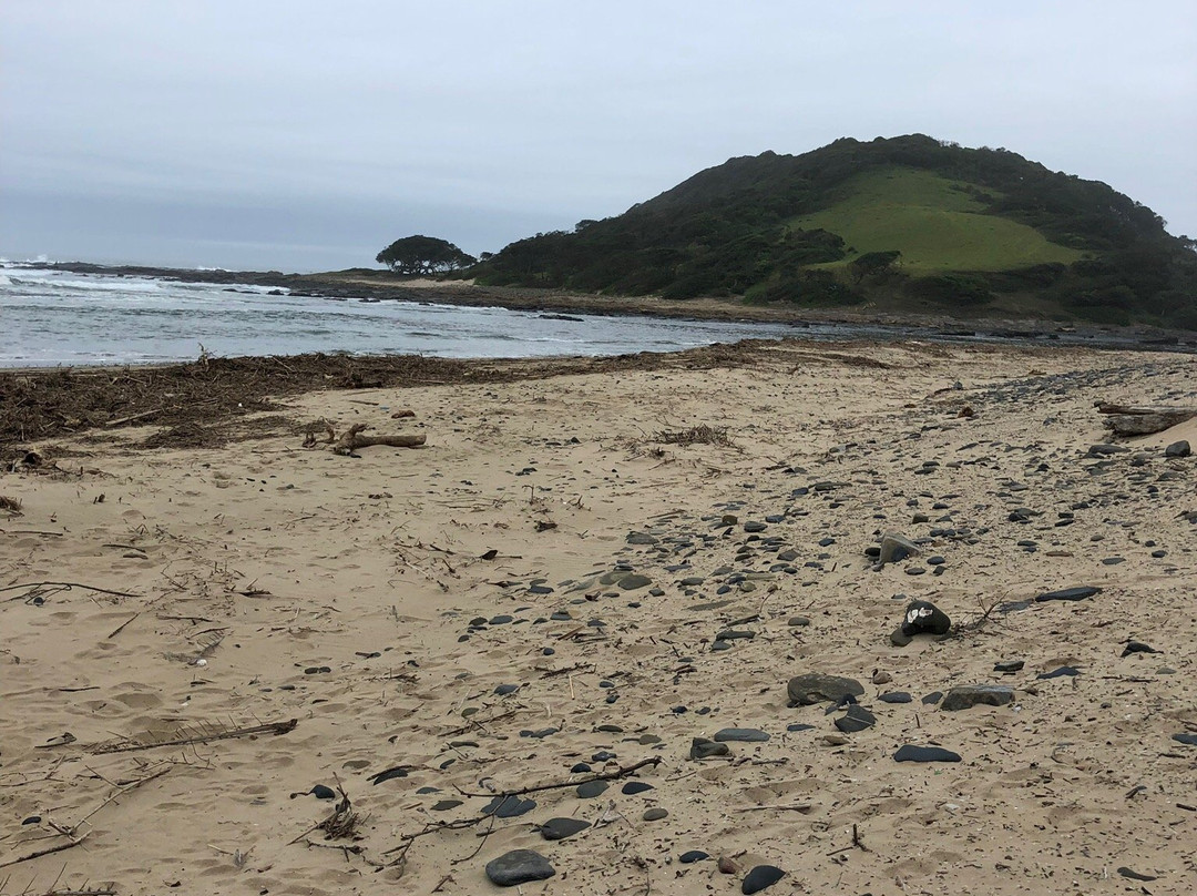 Friends Wild Coast Backpackers & Guesthouse主图