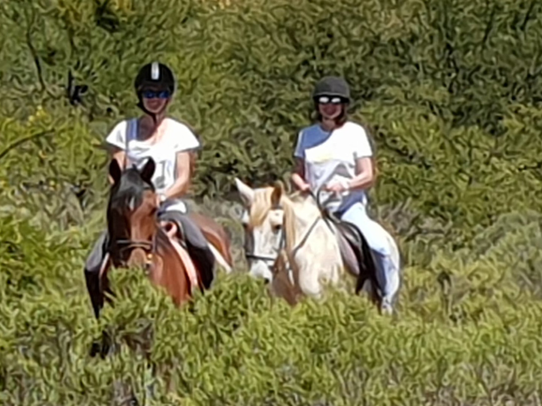 Gamka River Safari Co. - Day Rides-Calitzdorp必去景点