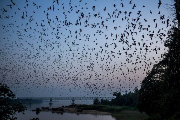 Bat Cave-帕安必去景点