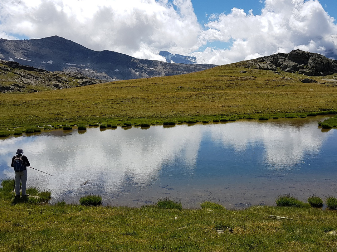 Gran Paradiso景点图片