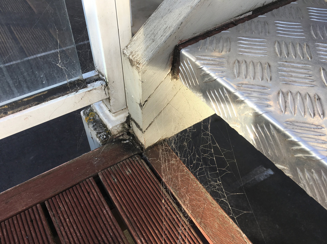 Redwood Manor Motel Apartments主图