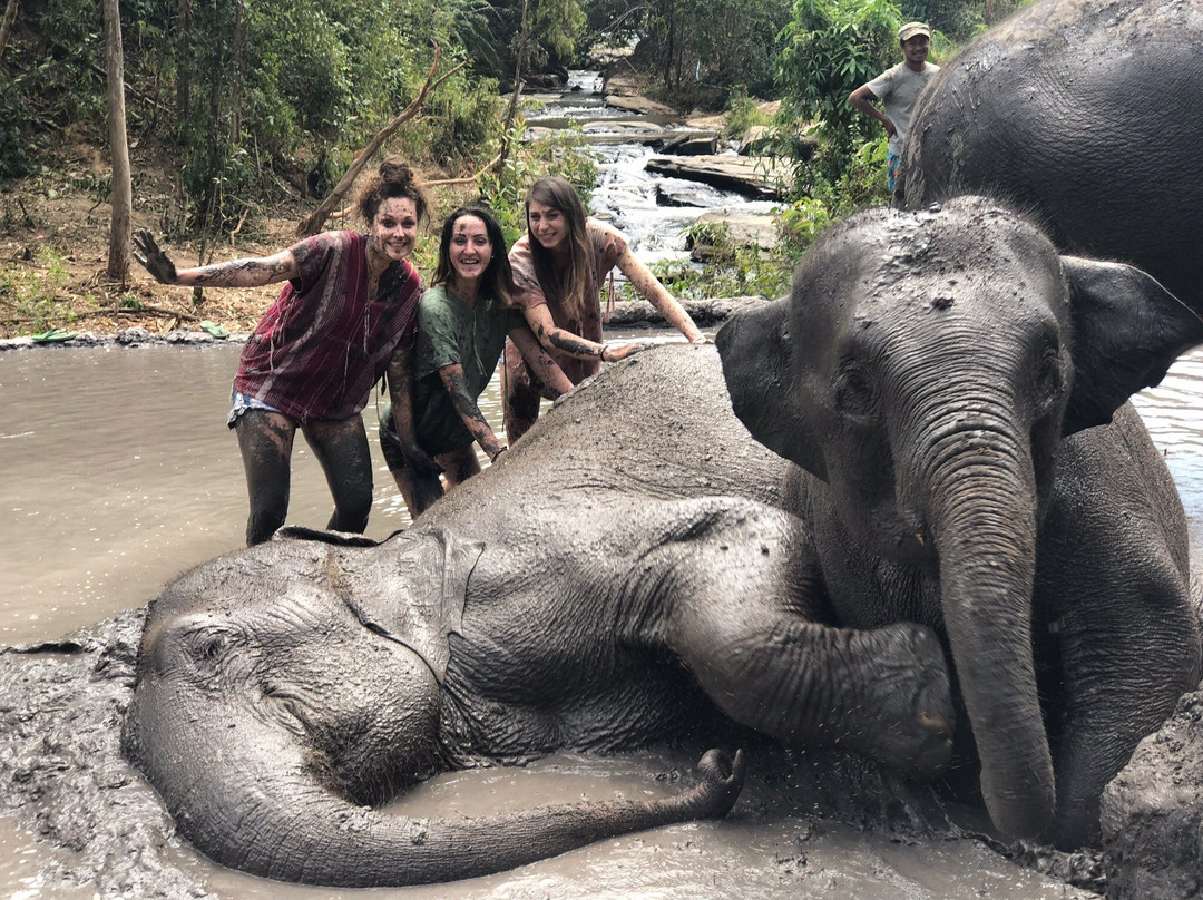 Karen Elephant Habitat-Mae Win必去景点