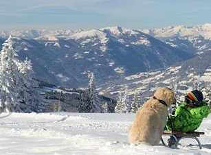 Pension Gasthof Arriach-官方