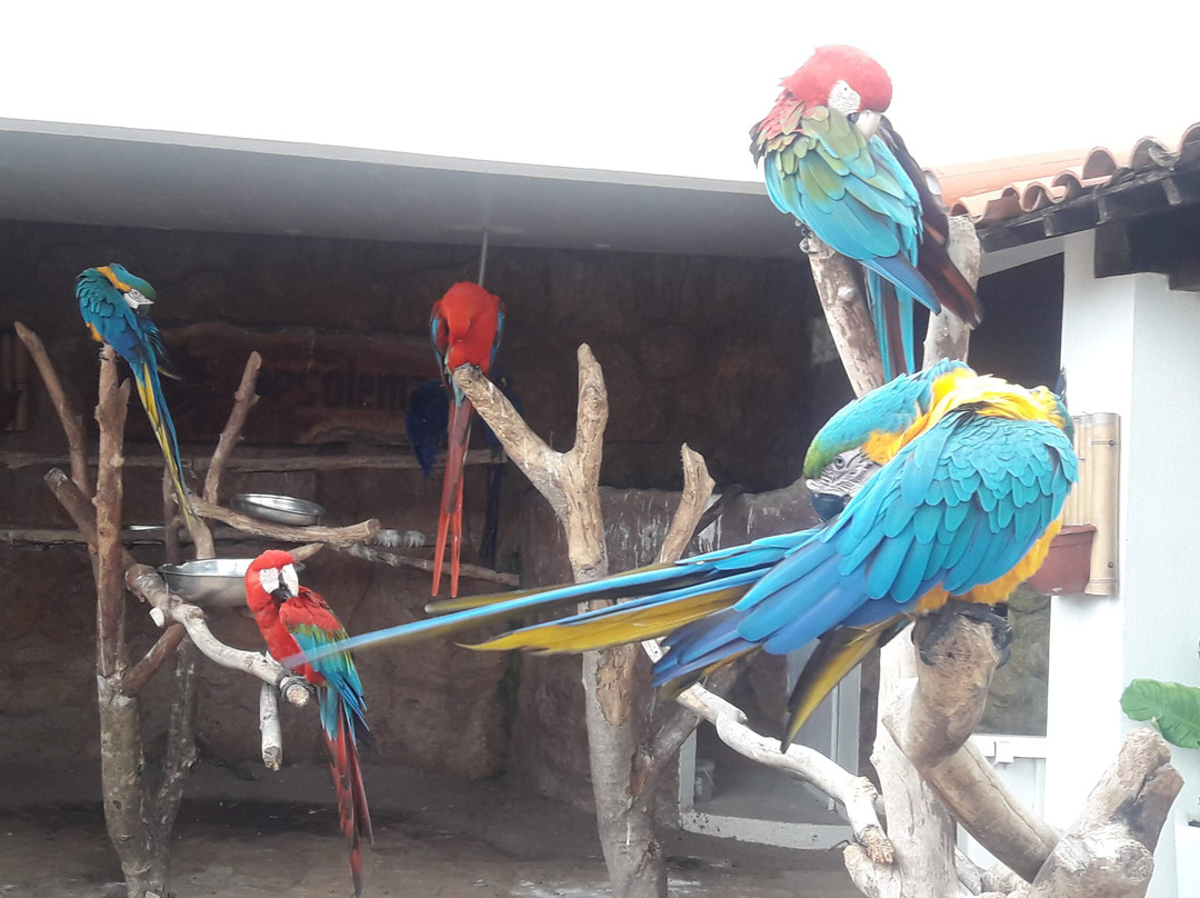 Pousada Sol e Mar主图