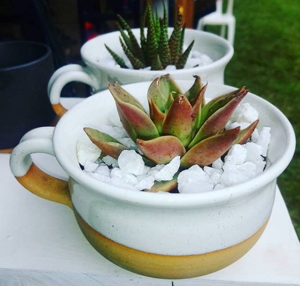 Langata Link Shops-内罗毕必去景点