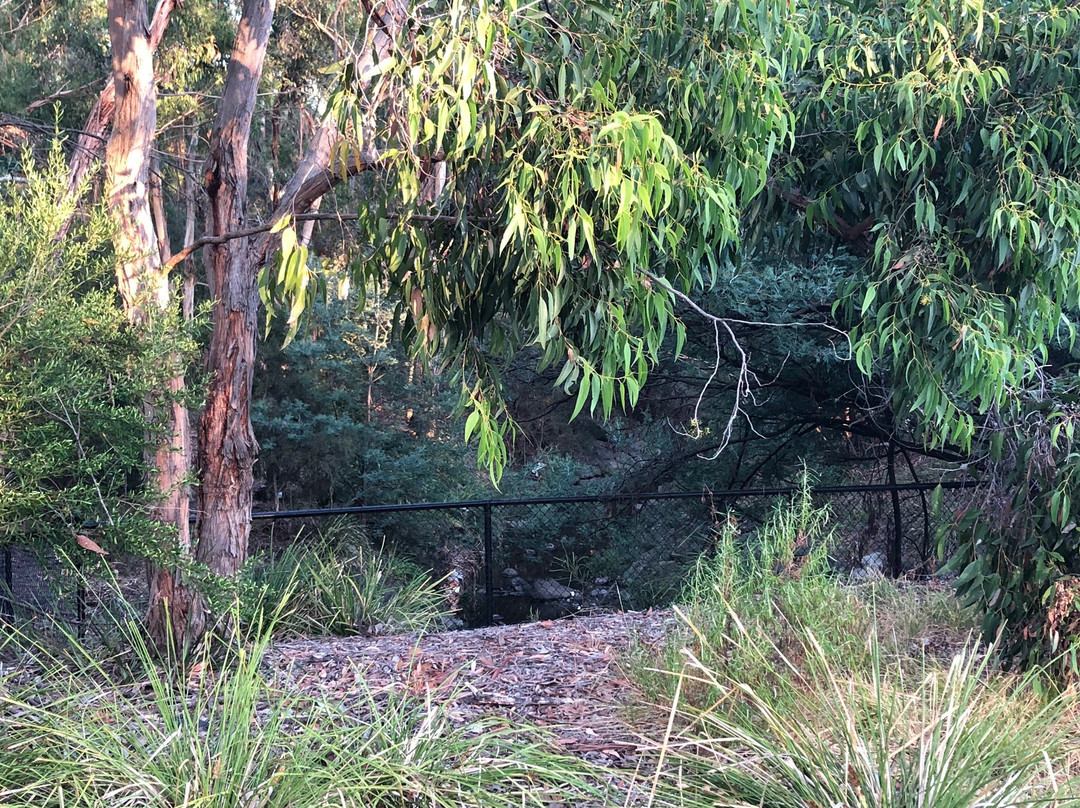 Drummond Street Playground景点图片