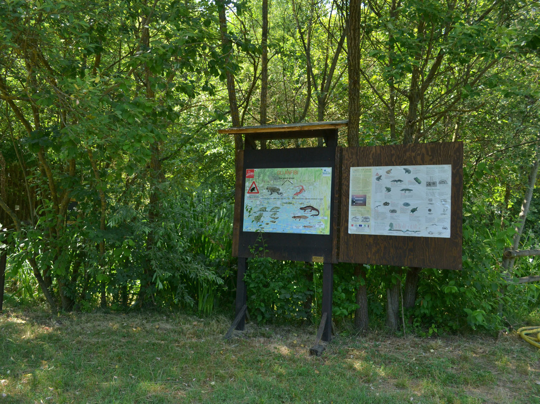 Centro Lipu-Tigliole必去景点
