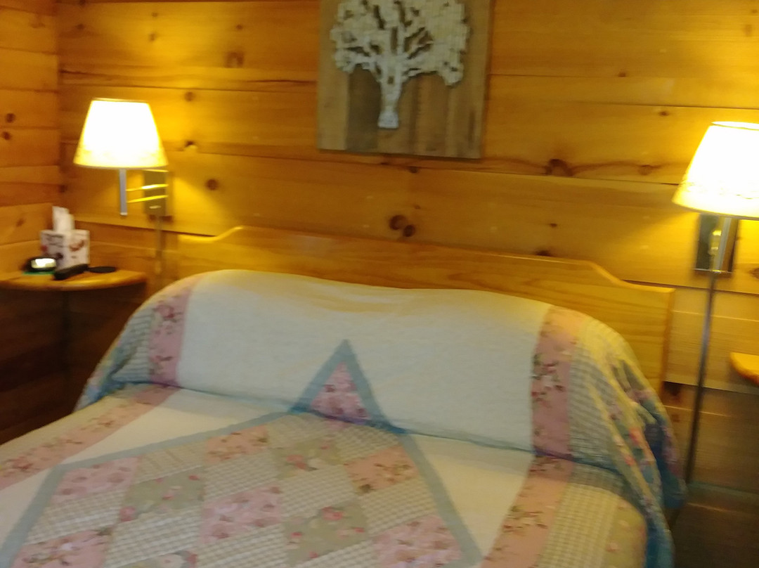 Dock's Motel & Cabins主图