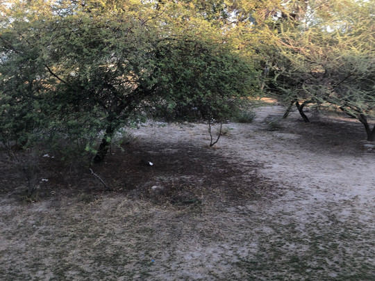 翁丹瓜普罗蒂亚酒店主图