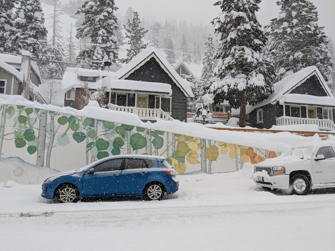 六月湖松树酒店主图
