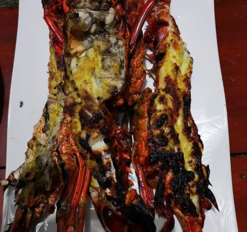 Vanilla Lodge Moheli主图