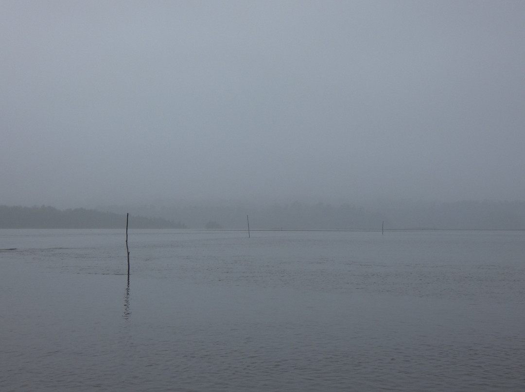 Okarito Lagoon景点图片