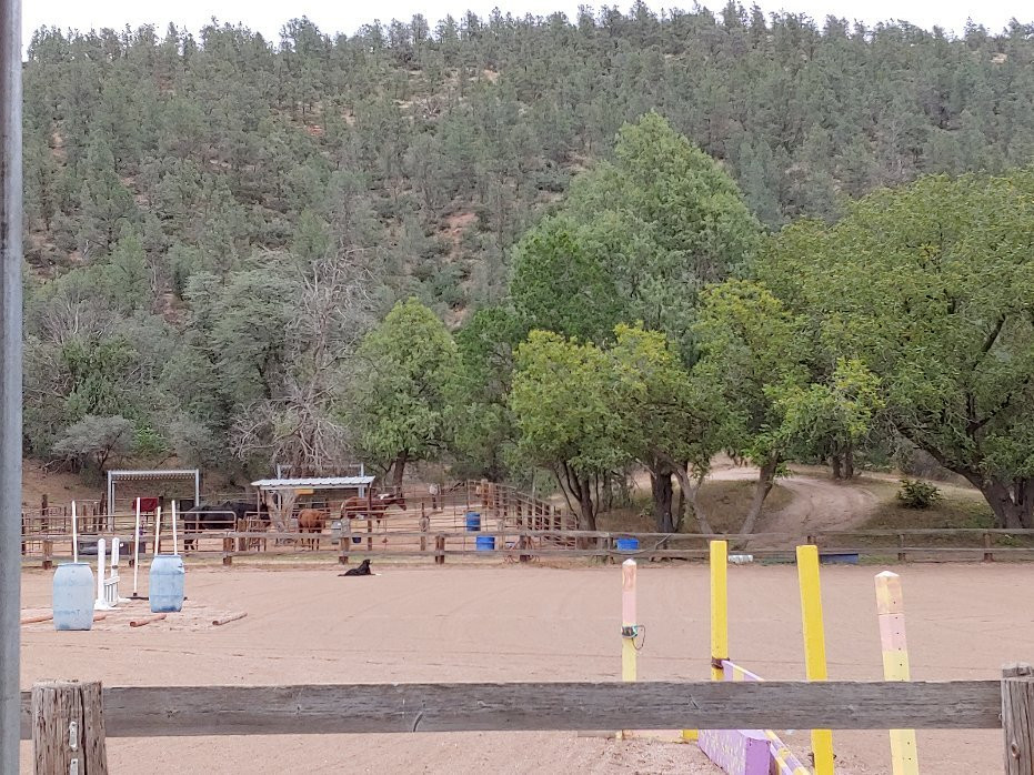 Patterson Farms-Star Valley必去景点