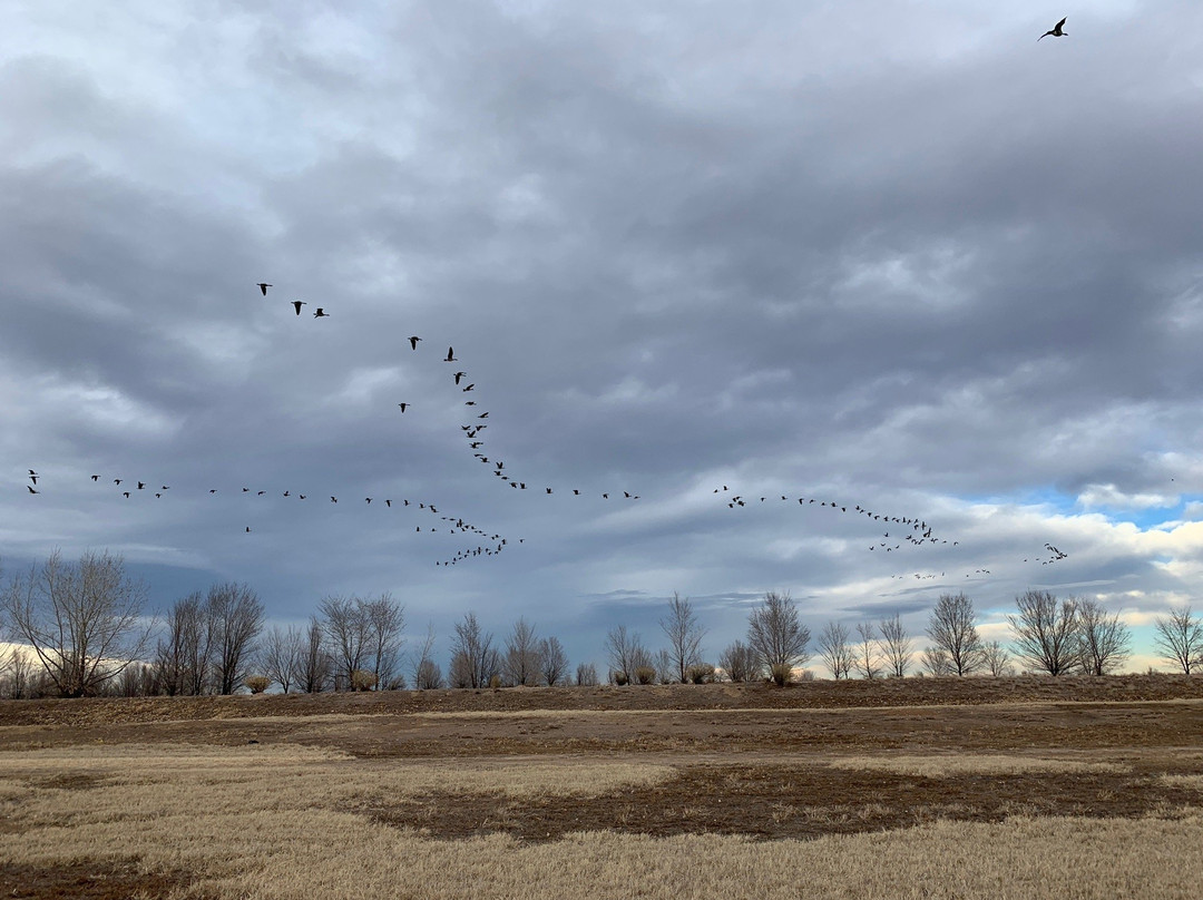 Windsor Lake-Windsor必去景点