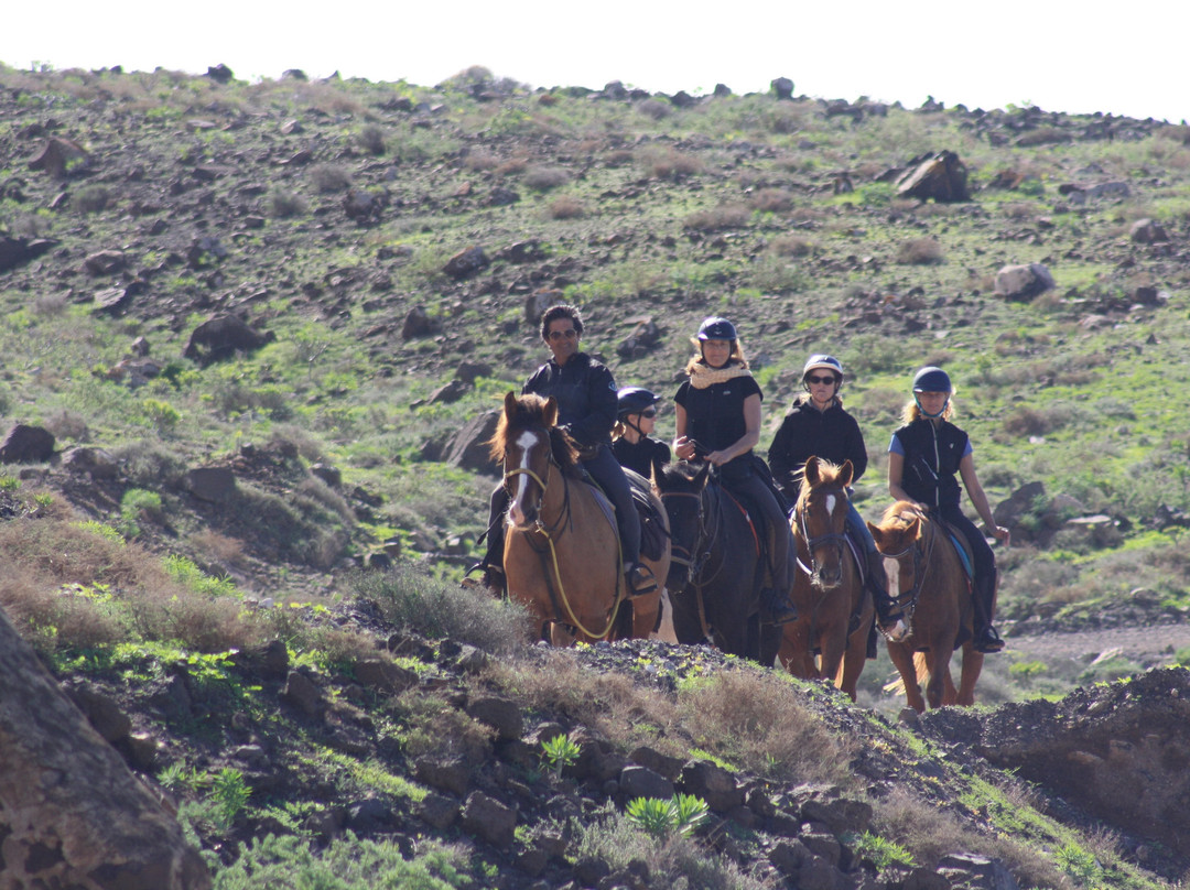 Lanzarote a Caballo景点图片