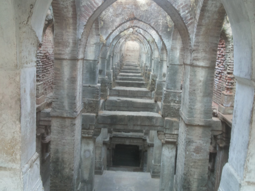 Borsad Stepwell景点图片