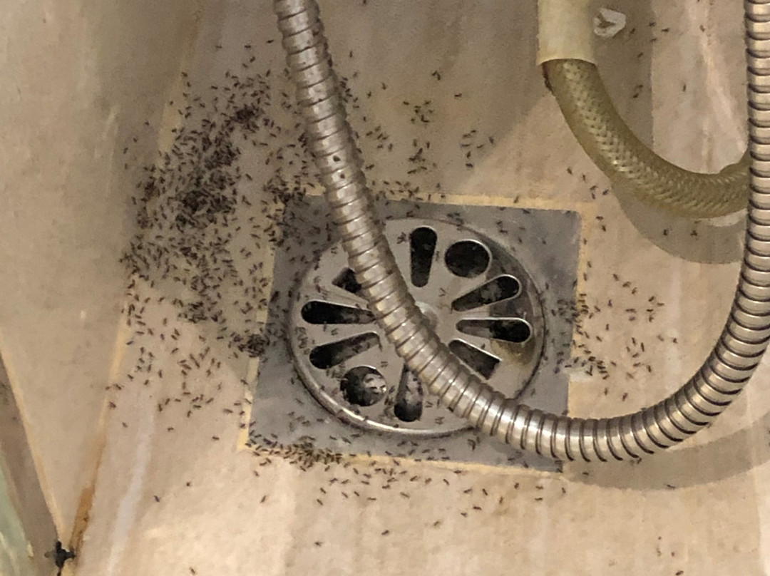 巴淡岛新世纪度假村主图