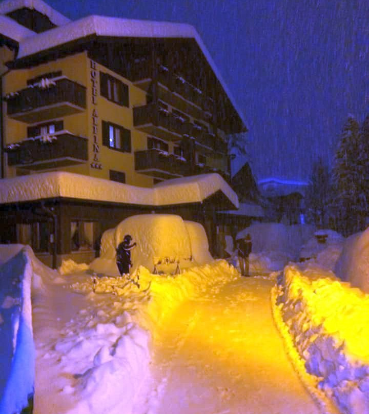 Hotel Alpina主图