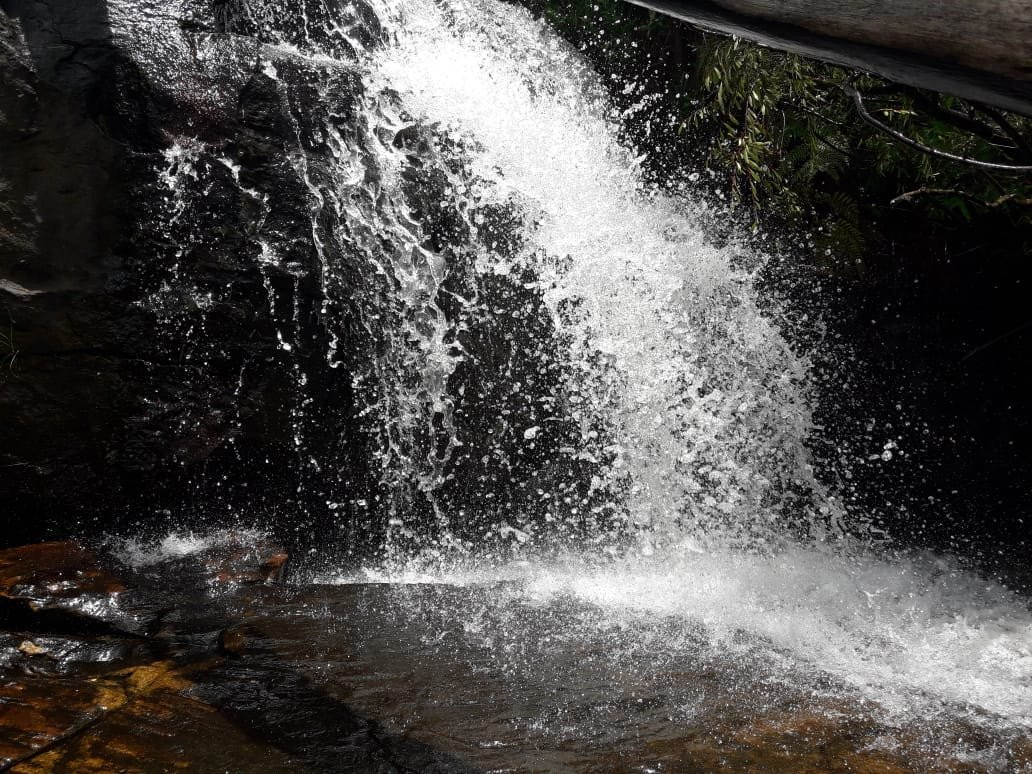 Recanto Ecologico da Dora-Tibagi必去景点