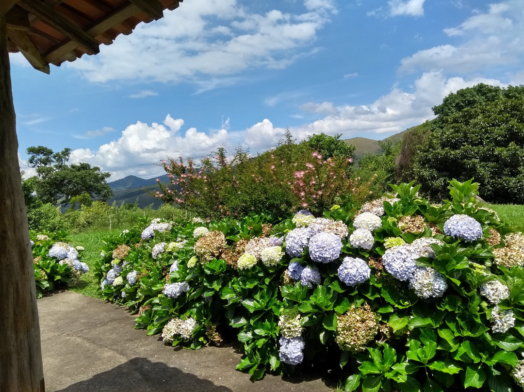 Pousada Pe da Mata主图