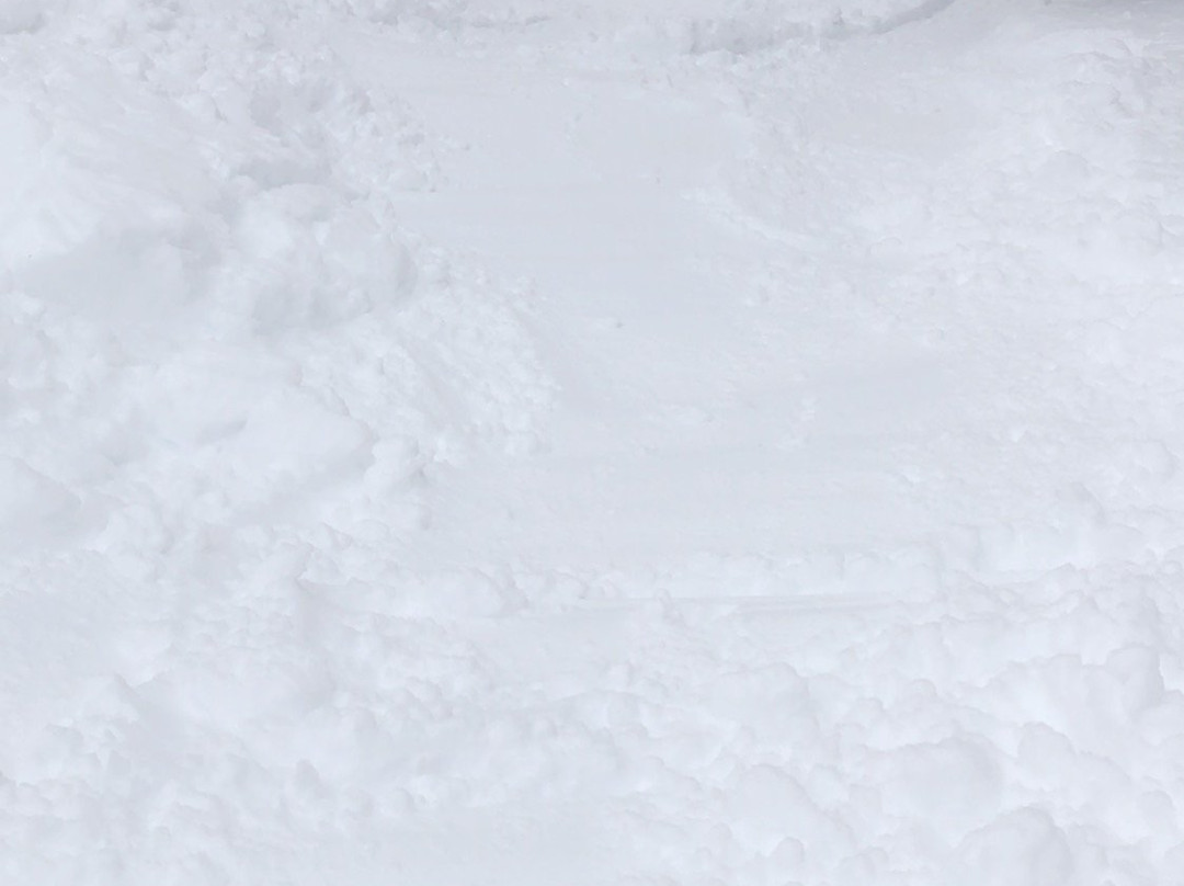 Red Lodge Mountain-雷德洛治必去景点