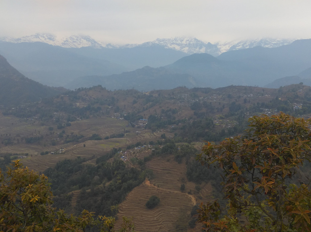 Begnas Coffee House主图