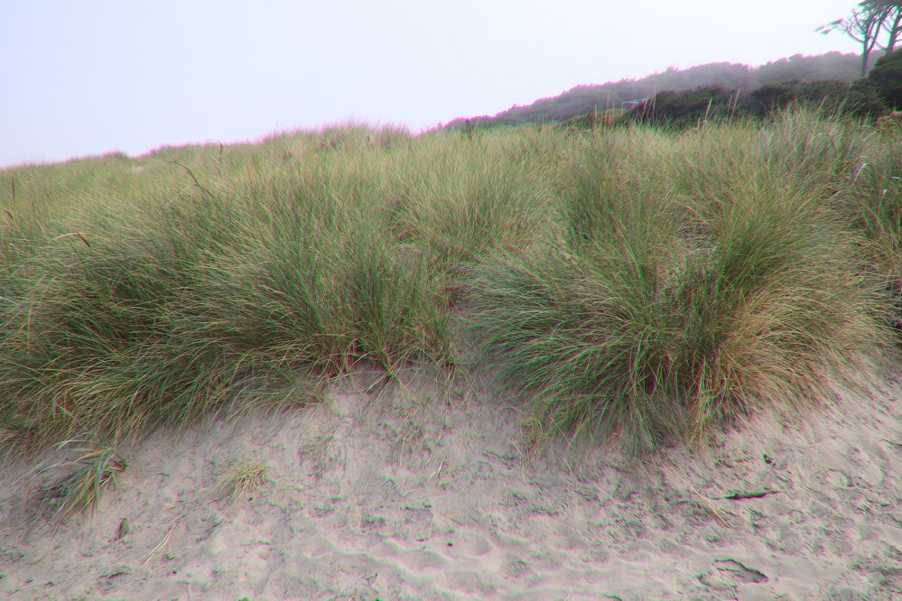 Governor Patterson Memorial State Recreation Site-Waldport必去景点